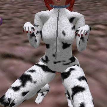oddalisk my pet